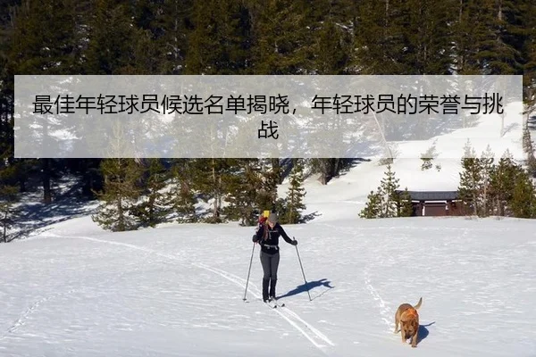 最佳年轻球员候选名单揭晓，年轻球员的荣誉与挑战